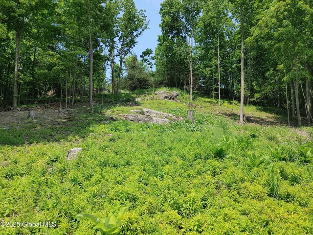 67 Hutton Square Rd, Putnam, NY 12861 - photo 6