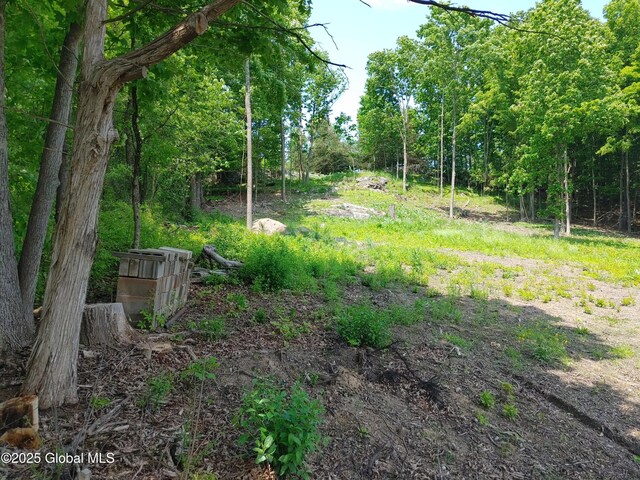 67 Hutton Square Rd, Putnam, NY 12861 - photo 7