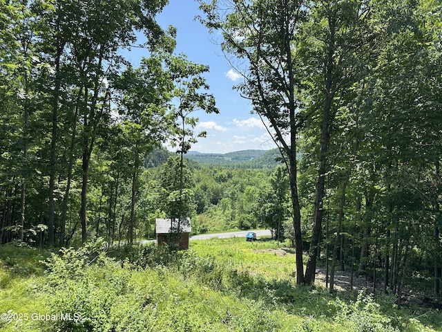 67 Hutton Square Rd, Putnam, NY 12861 - photo 9