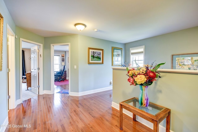84 Andriana Ln, Albany, NY 12204 - photo 19