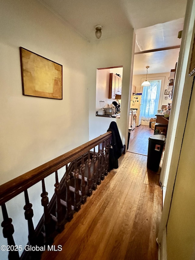 369 Madison Ave, Albany, NY 12210 - corridor featuring light wood-style flooring