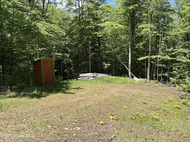 10 W Tucker Rd, Stony Creek, NY 12878 - view of yard
