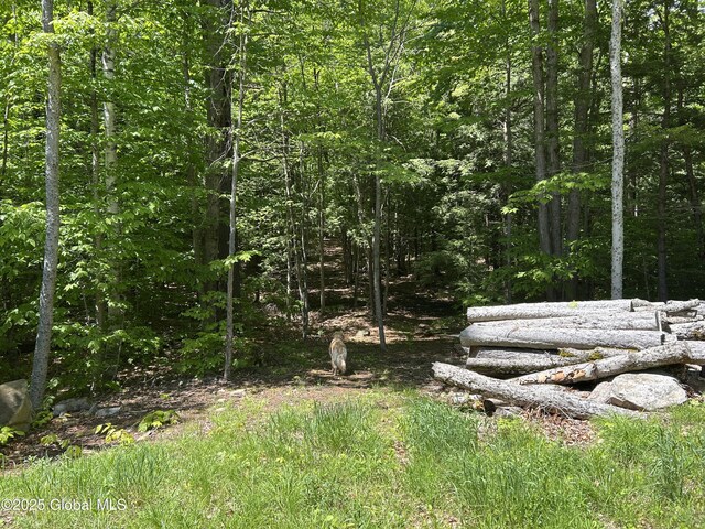 10 W Tucker Rd, Stony Creek, NY 12878 - view of yard with a forest view