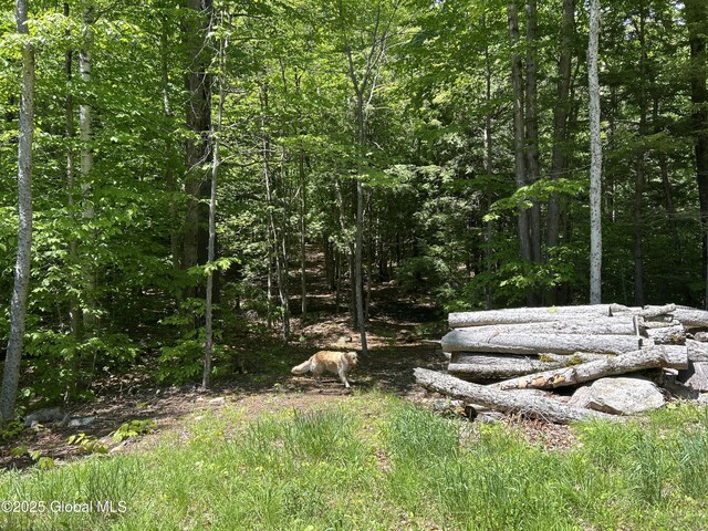 10 W Tucker Rd, Stony Creek, NY 12878 - view of yard with a wooded view