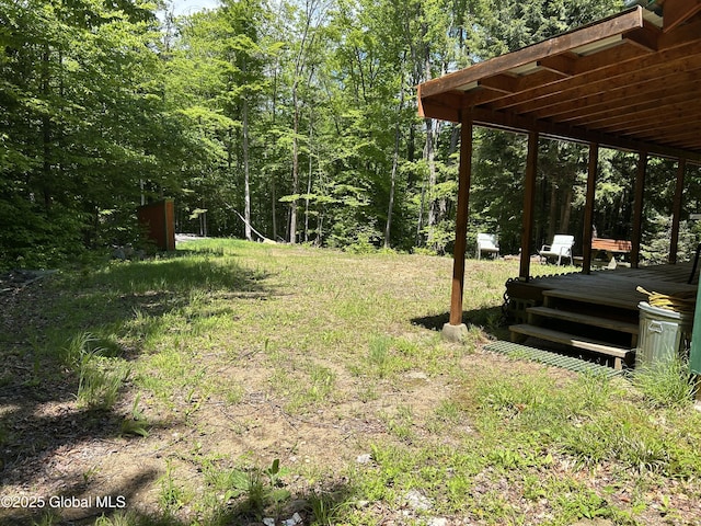 10 W Tucker Rd, Stony Creek, NY 12878 - view of yard featuring a deck and a wooded view