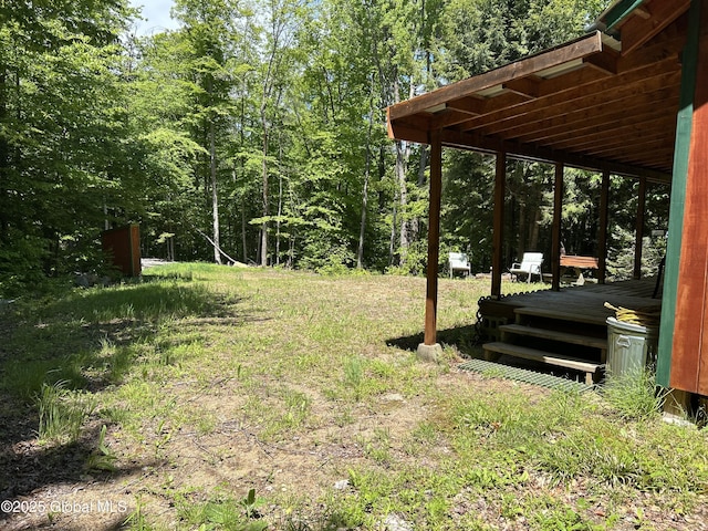 10 W Tucker Rd, Stony Creek, NY 12878 - view of yard featuring a view of trees and a deck