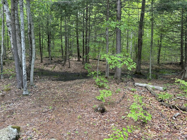 10 W Tucker Rd, Stony Creek, NY 12878 - view of woods