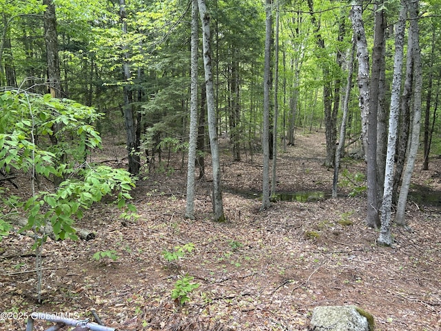 10 W Tucker Rd, Stony Creek, NY 12878 - view of woods