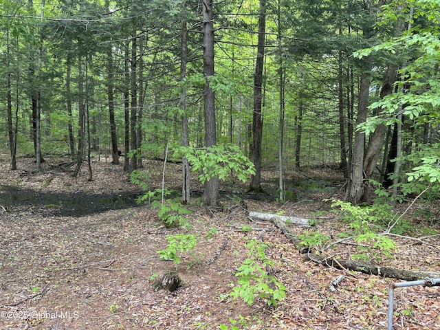 10 W Tucker Rd, Stony Creek, NY 12878 - view of tree filled area
