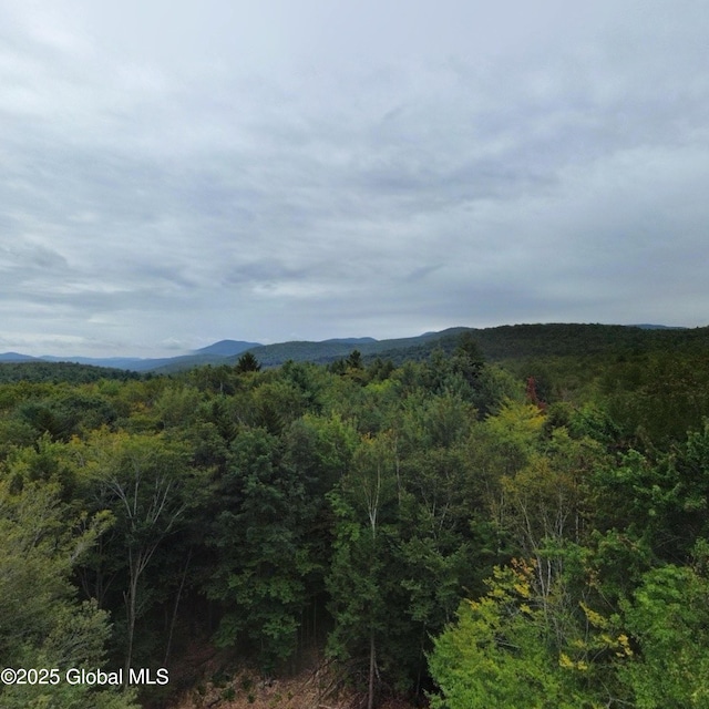 10 W Tucker Rd, Stony Creek, NY 12878 - view of mountain backdrop featuring a forest