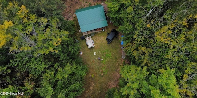 10 W Tucker Rd, Stony Creek, NY 12878 - aerial view of property's location
