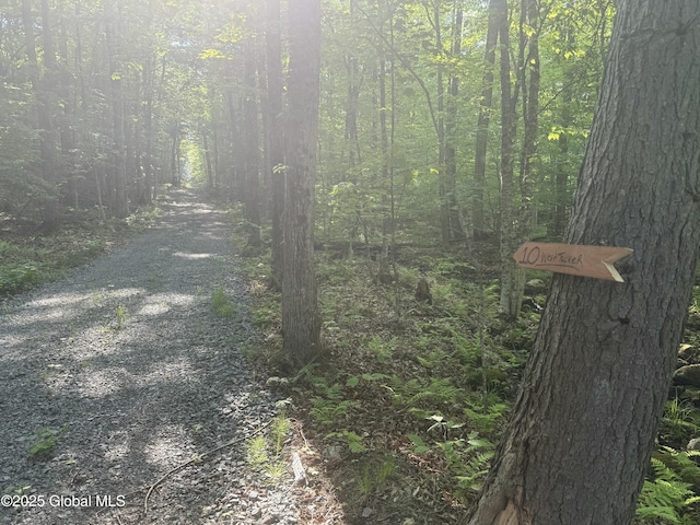 10 W Tucker Rd, Stony Creek, NY 12878 - view of tree filled area
