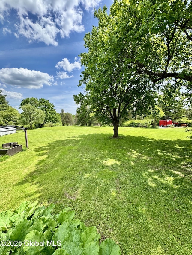 302 Pennsylvania Ave, Johnstown, NY 12095 - view of green lawn