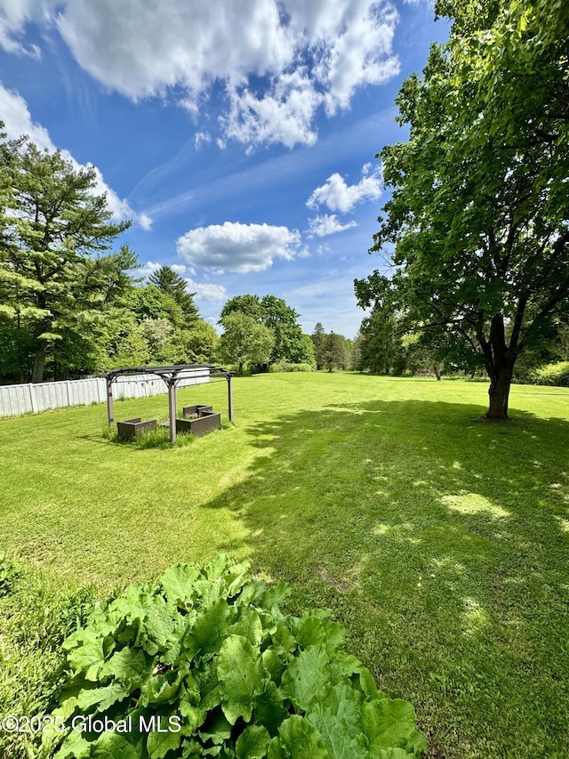 302 Pennsylvania Ave, Johnstown, NY 12095 - view of yard