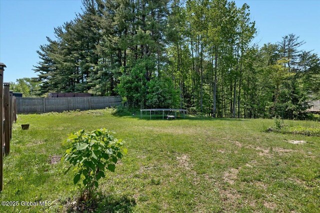 3287 Ny Highway 43, Sand Lake, NY 12018 - view of yard with a trampoline
