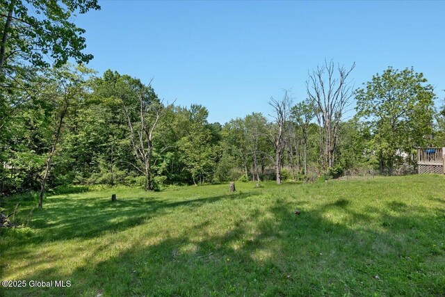 3287 Ny Highway 43, Sand Lake, NY 12018 - view of grassy yard with a wooded view