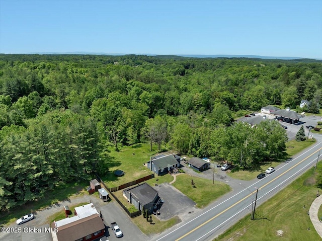 3287 Ny Highway 43, Sand Lake, NY 12018 - aerial view of property and surrounding area featuring a forest