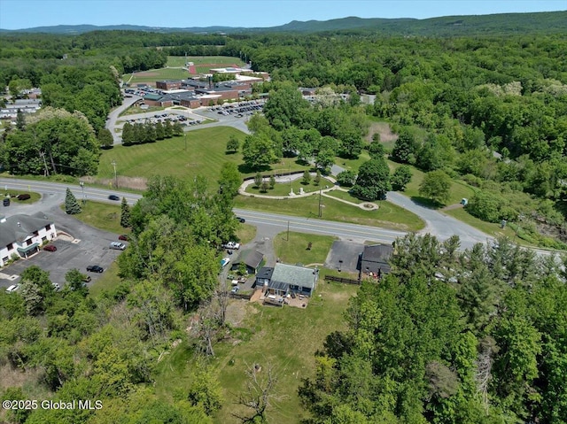 3287 Ny Highway 43, Sand Lake, NY 12018 - view of property location featuring a heavily wooded area