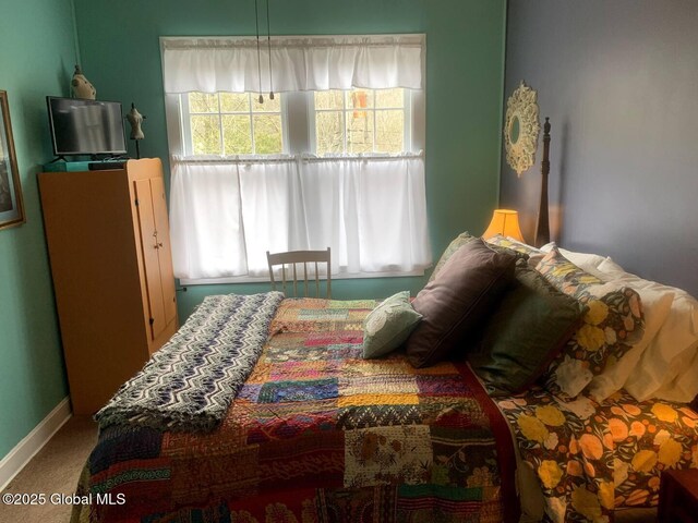 110 Center St, Sharon Springs, NY 13459 - photo 43