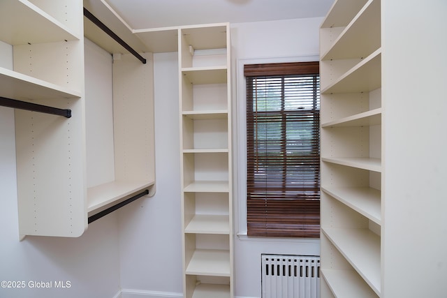 2 Darroch Rd, Bethlehem, NY 12054 - spacious closet with radiator