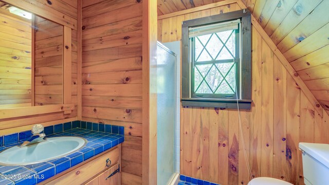 824 County Highway 106, Mayfield, NY 12010 - bathroom featuring wood walls, toilet, vaulted ceiling, vanity, and wooden ceiling