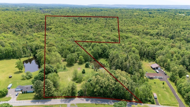 824 County Highway 106, Mayfield, NY 12010 - aerial view of property's location featuring a forest, property parcel outlined, and a large body of water