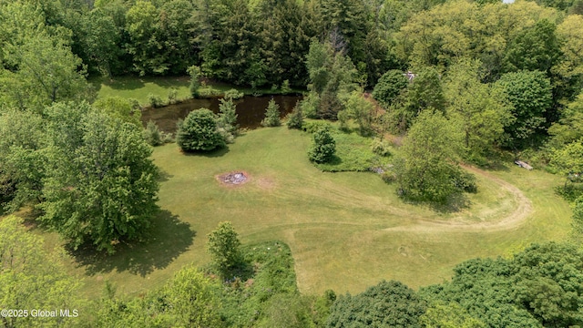 824 County Highway 106, Mayfield, NY 12010 - bird's eye view