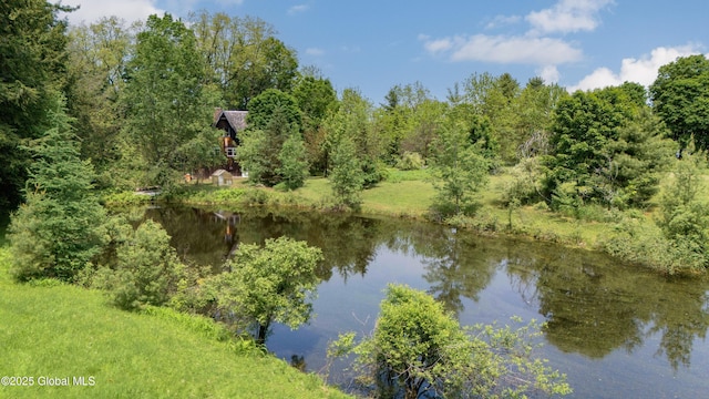 824 County Highway 106, Mayfield, NY 12010 - water view