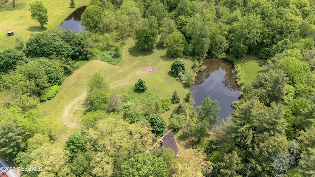 824 County Highway 106, Mayfield, NY 12010 - bird's eye view of a nearby body of water