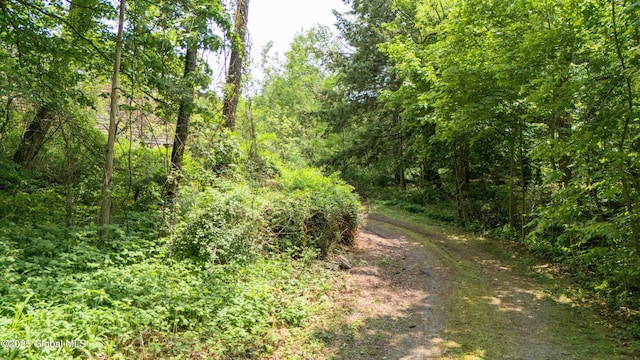 824 County Highway 106, Mayfield, NY 12010 - view of woods