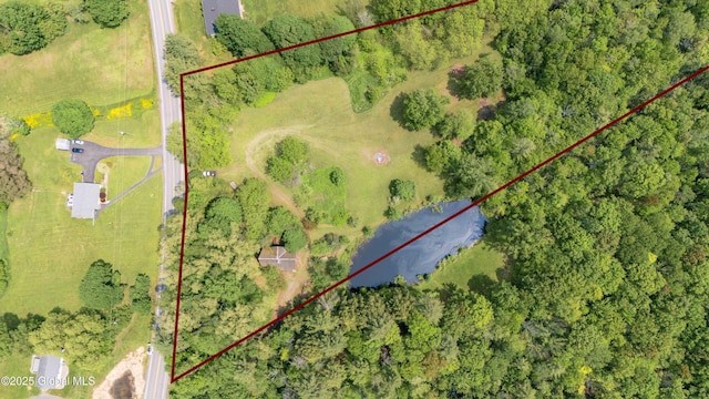 824 County Highway 106, Mayfield, NY 12010 - aerial view of sparsely populated area featuring property parcel outlined
