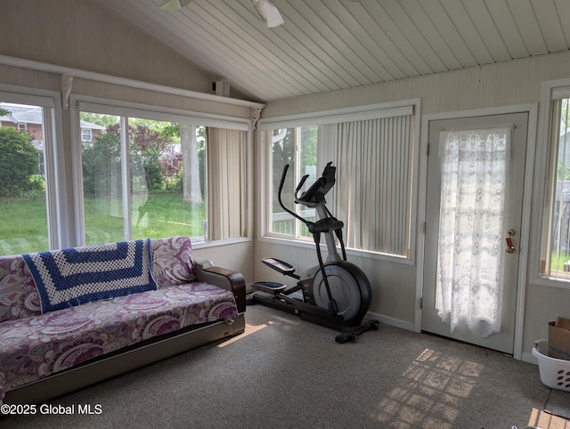 2714 Magnolia St, Endicott, NY 13760 - exercise area featuring vaulted ceiling, plenty of natural light, and carpet floors