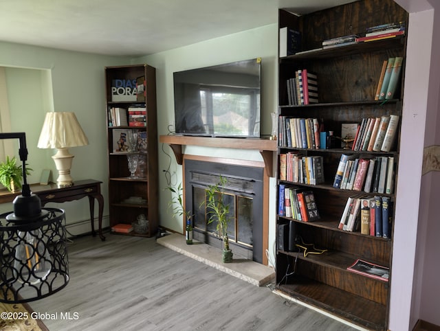 2714 Magnolia St, Endicott, NY 13760 - sitting room featuring a glass covered fireplace, wood finished floors, and a baseboard heating unit