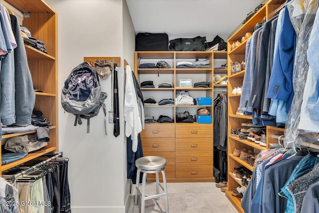 268 Broadway Unit 607, Saratoga Springs, Inside, NY 12866 - walk in closet featuring carpet floors