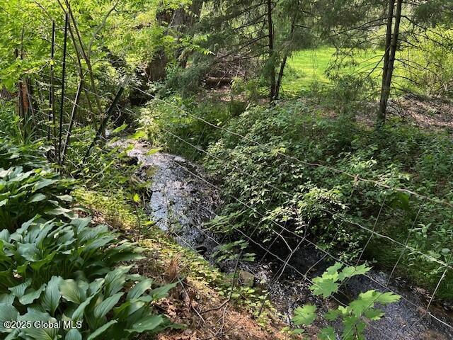 92 Fiddlers Ln, Colonie, NY 12110 - view of woods