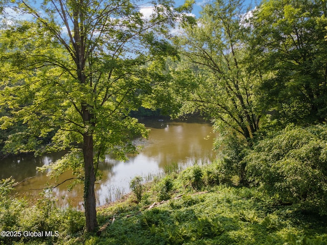 3121 High St, Valatie, NY 12184 - photo 65