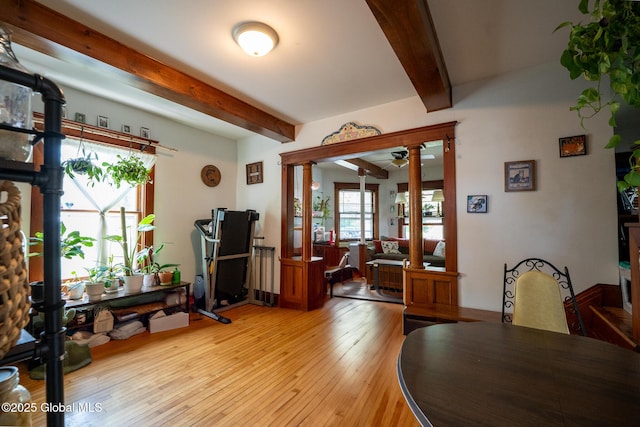 3 Grove St, Bethlehem, NY 12054 - dining space with beam ceiling, ceiling fan, light wood finished floors, and radiator