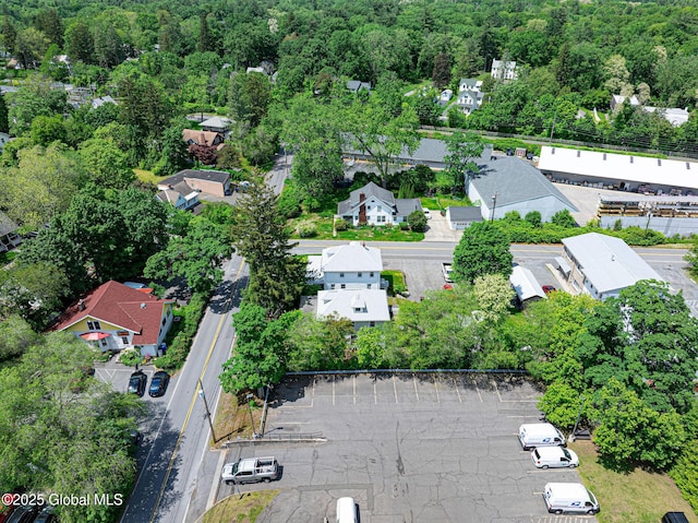 3 Grove St, Bethlehem, NY 12054 - aerial perspective of suburban area with a forest