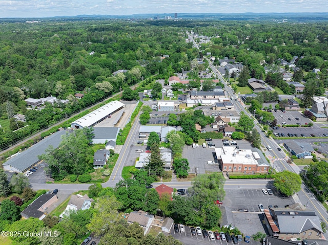 3 Grove St, Bethlehem, NY 12054 - view of property location with a heavily wooded area and nearby suburban area