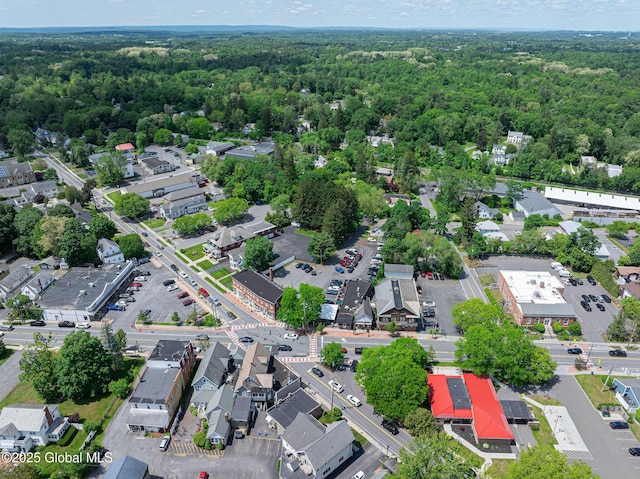 3 Grove St, Bethlehem, NY 12054 - aerial view of property's location with a forest and nearby suburban area
