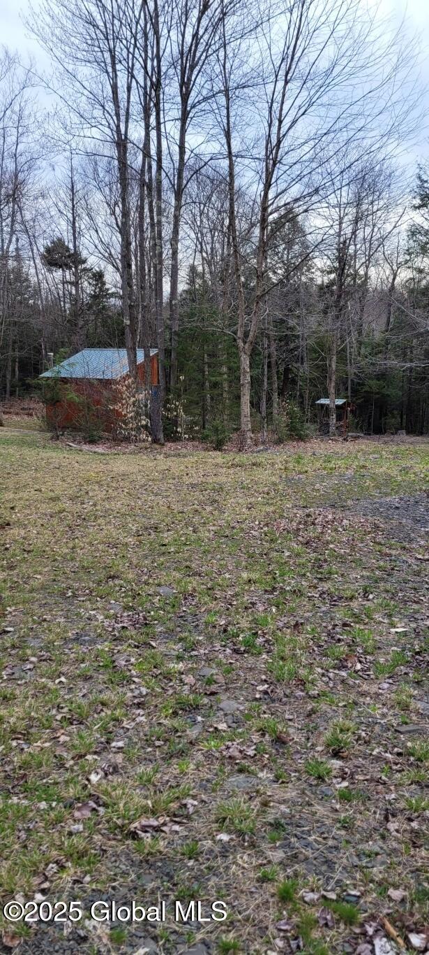 632 Arabia Rd, Summit, NY 12175 - photo 2
