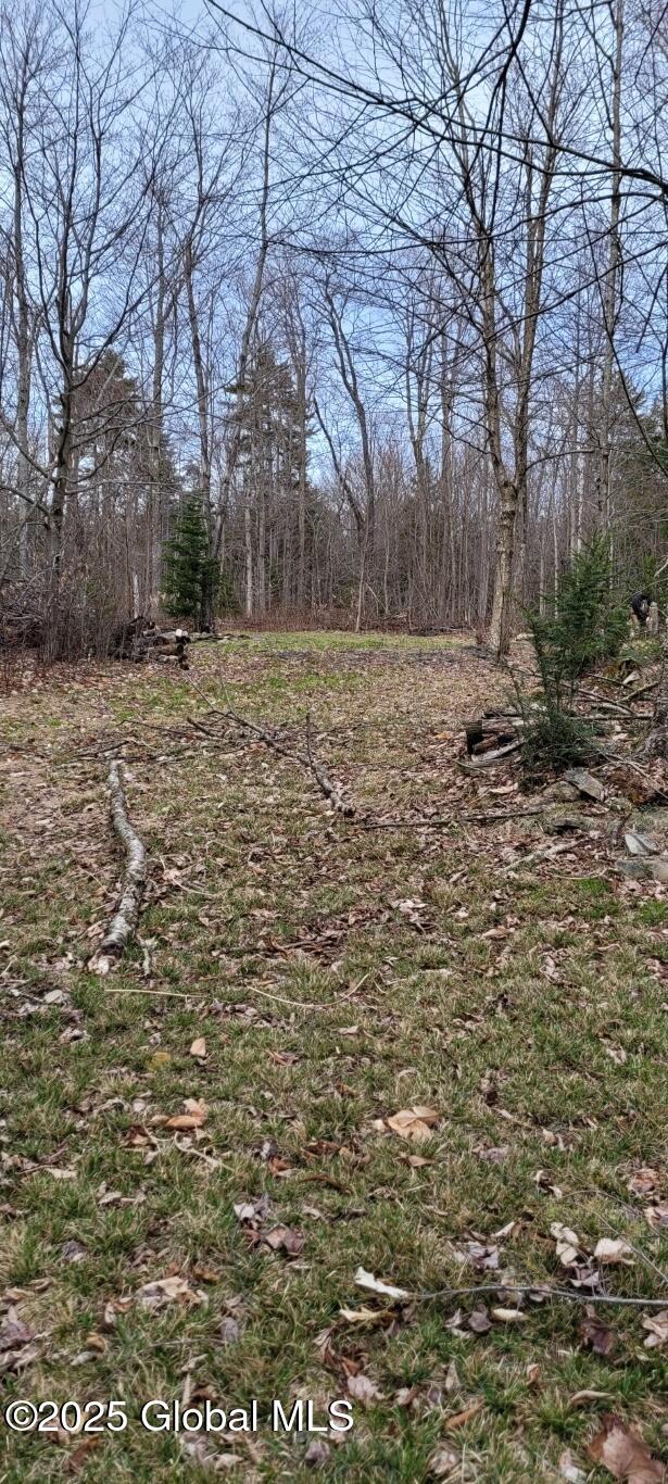 632 Arabia Rd, Summit, NY 12175 - photo 13