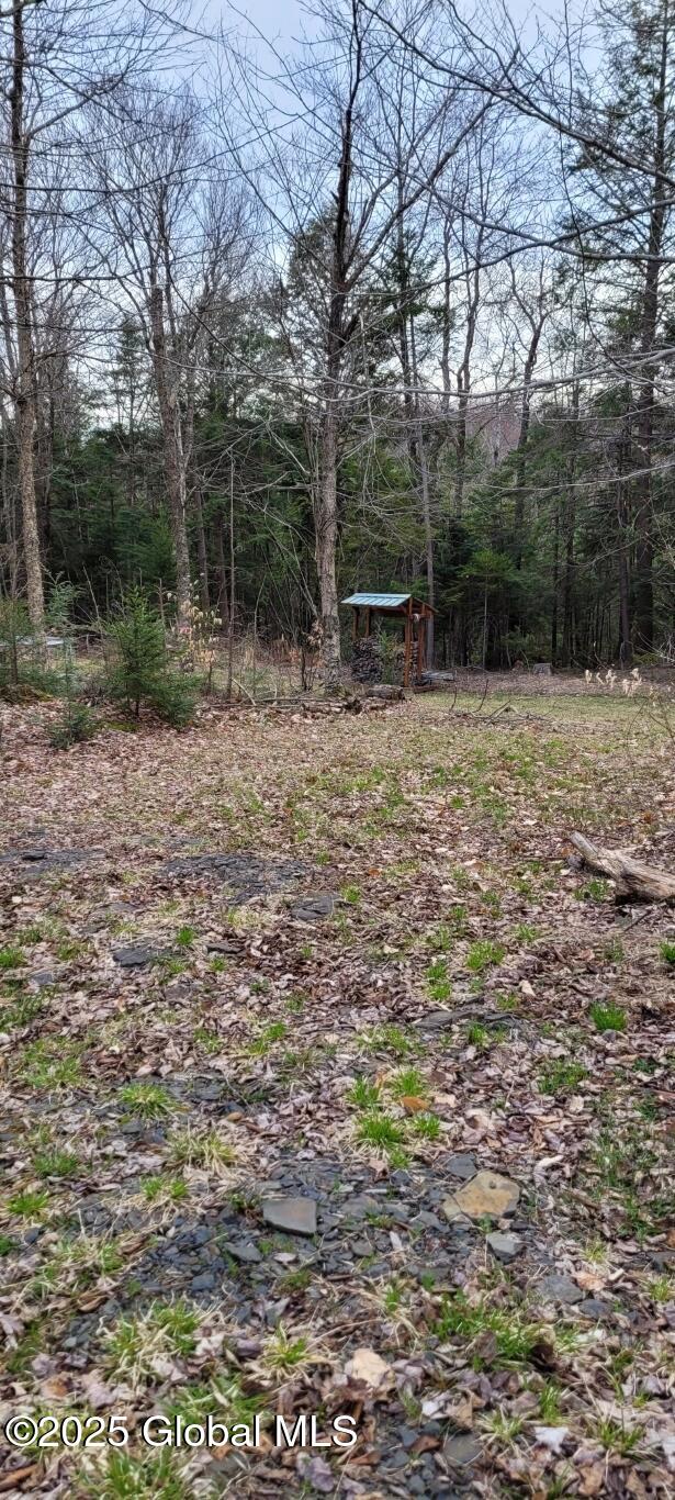 632 Arabia Rd, Summit, NY 12175 - photo 16