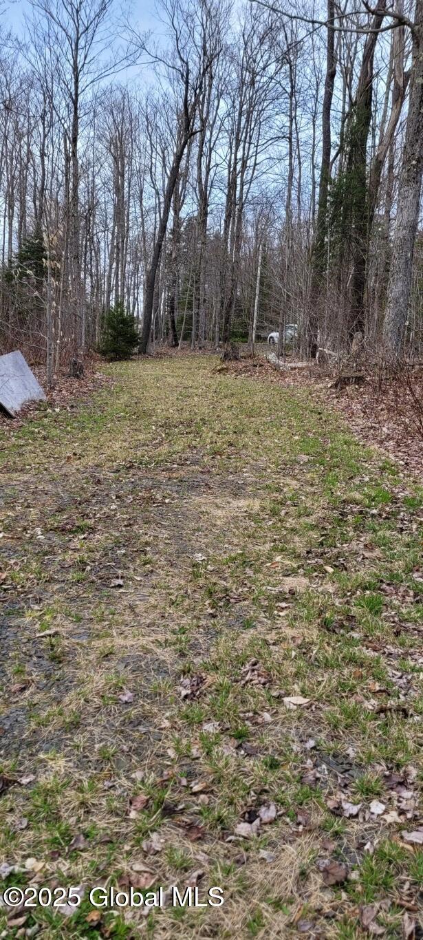 632 Arabia Rd, Summit, NY 12175 - photo 17