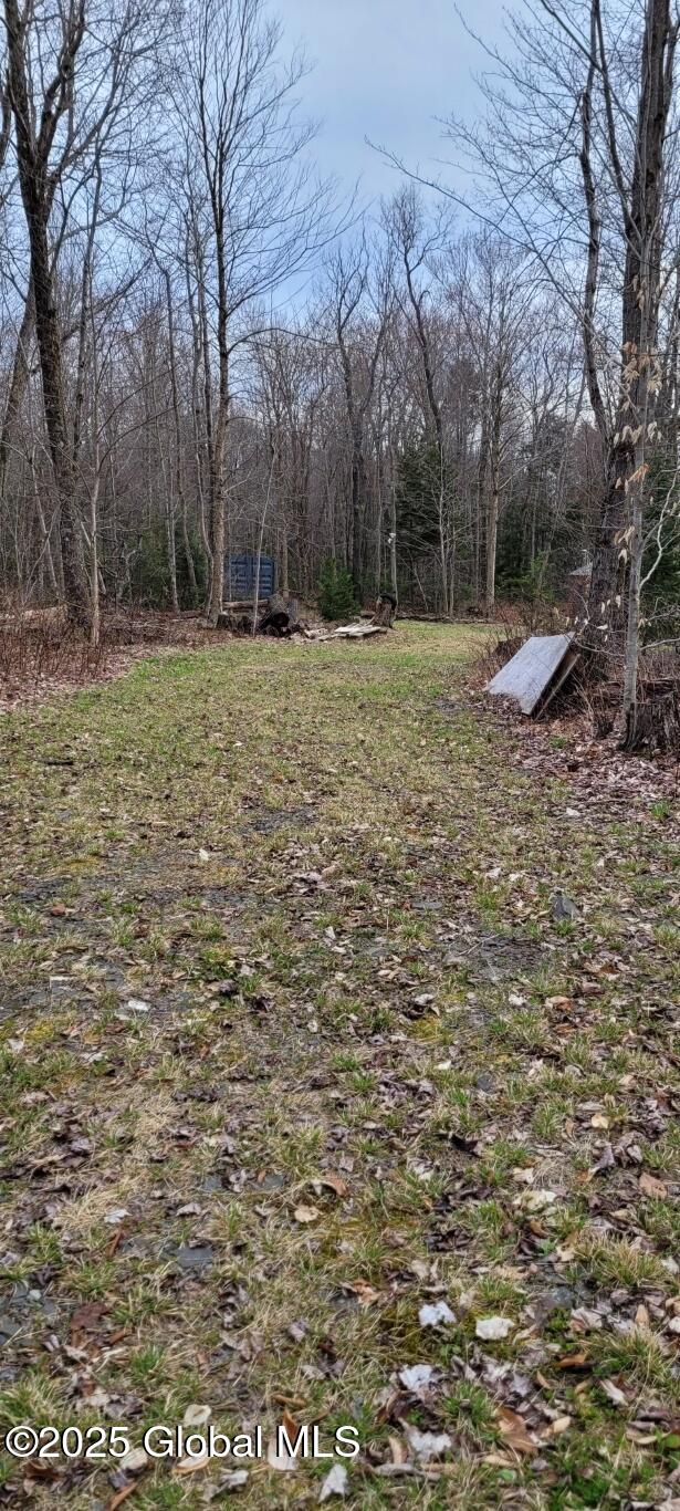 632 Arabia Rd, Summit, NY 12175 - photo 18