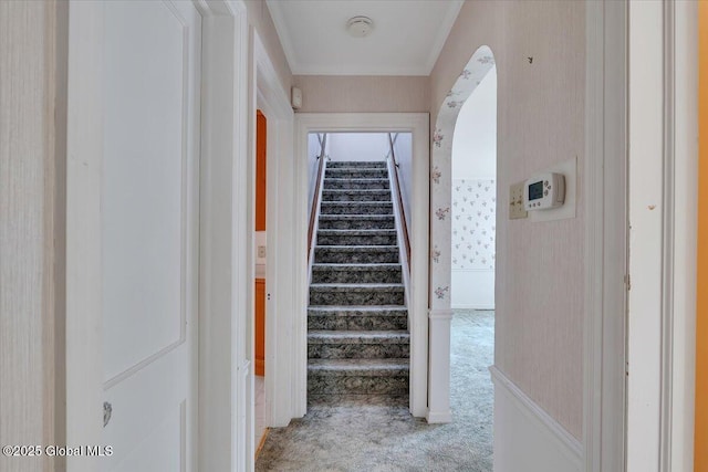 327 Sullivan Rd, Schenectady, NY 12304 - hallway with carpet flooring, stairs, and ornamental molding