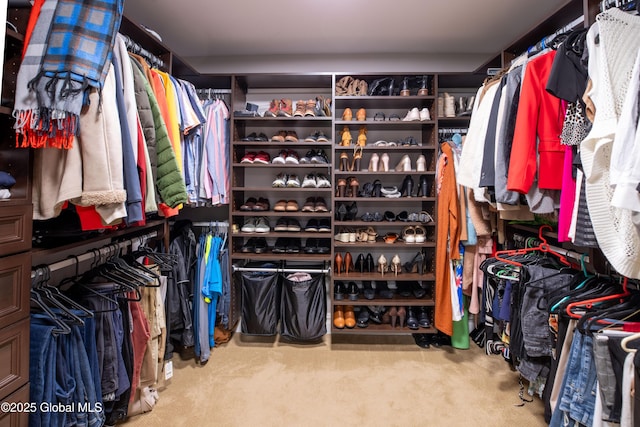 1269 Hawthorn Rd, Niskayuna, NY 12309 - spacious closet with carpet
