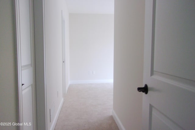 17 Chapel St Unit 303, Albany, NY 12210 - photo 35