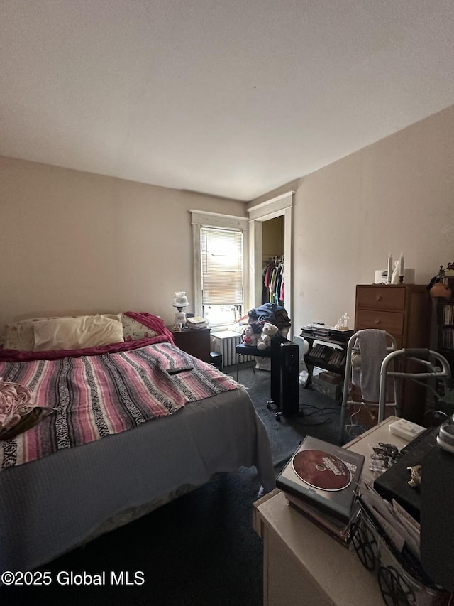 3226 Albany St, Schenectady, NY 12304 - carpeted bedroom featuring a closet and radiator heating unit