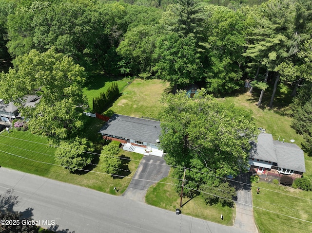 44 St Jude Ln, Glenville, NY 12302 - drone / aerial view of a forest